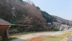 aki0717