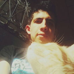 andresfloresbm