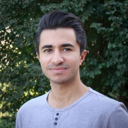 hosseinnedaee