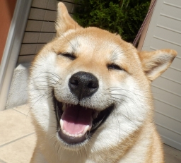 jun_jun