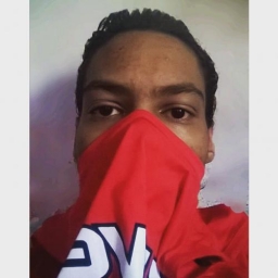 raynsilva