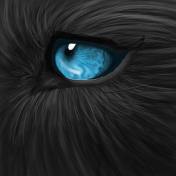 wolf1313