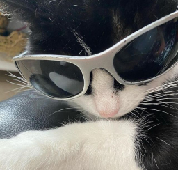 byeoljinnie
