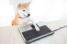 jk7777