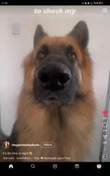 miguel_du